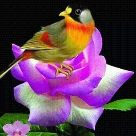 ���� �����_LM8vO