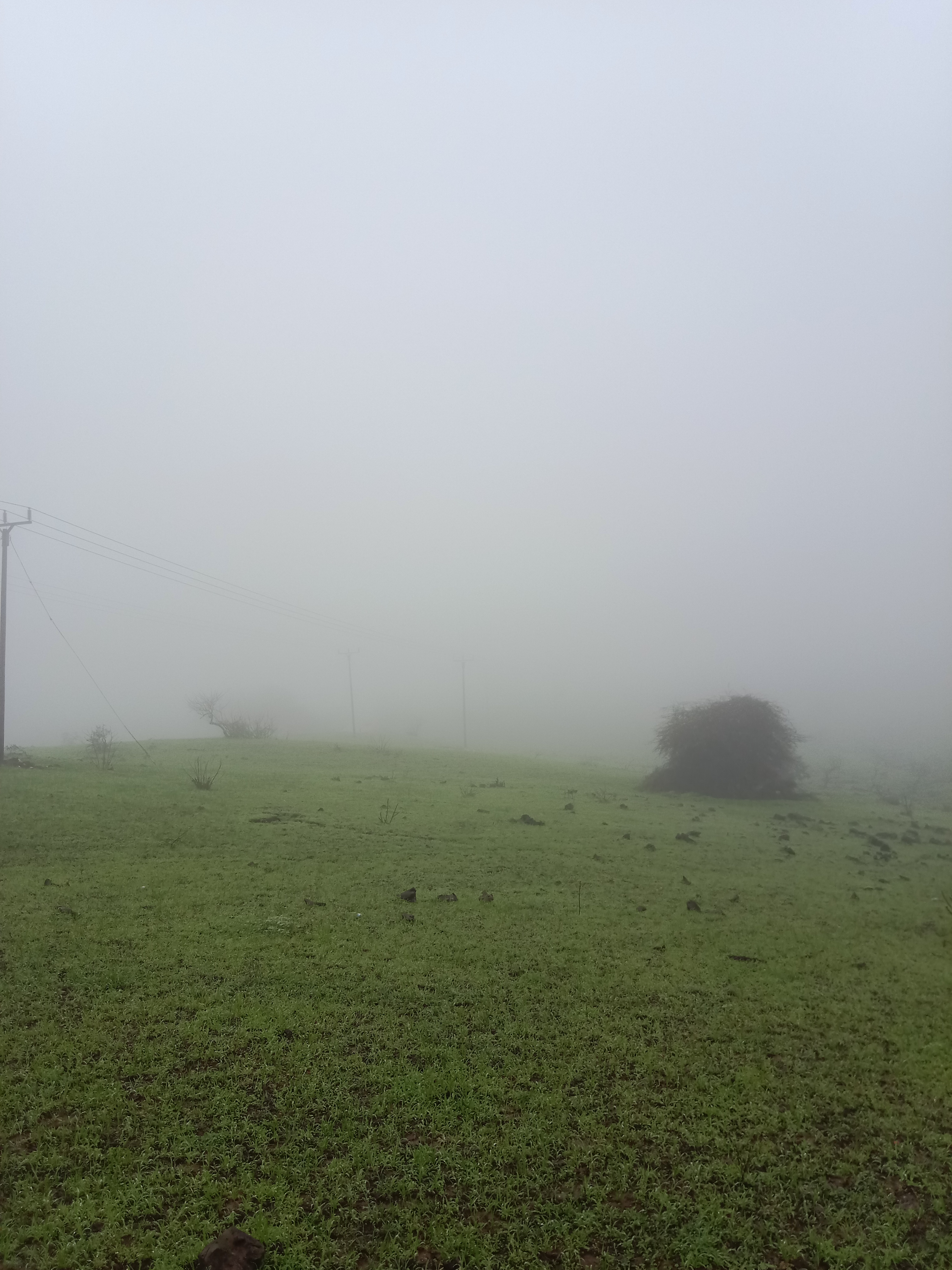 ���� ������� SS Hh_yXlNO