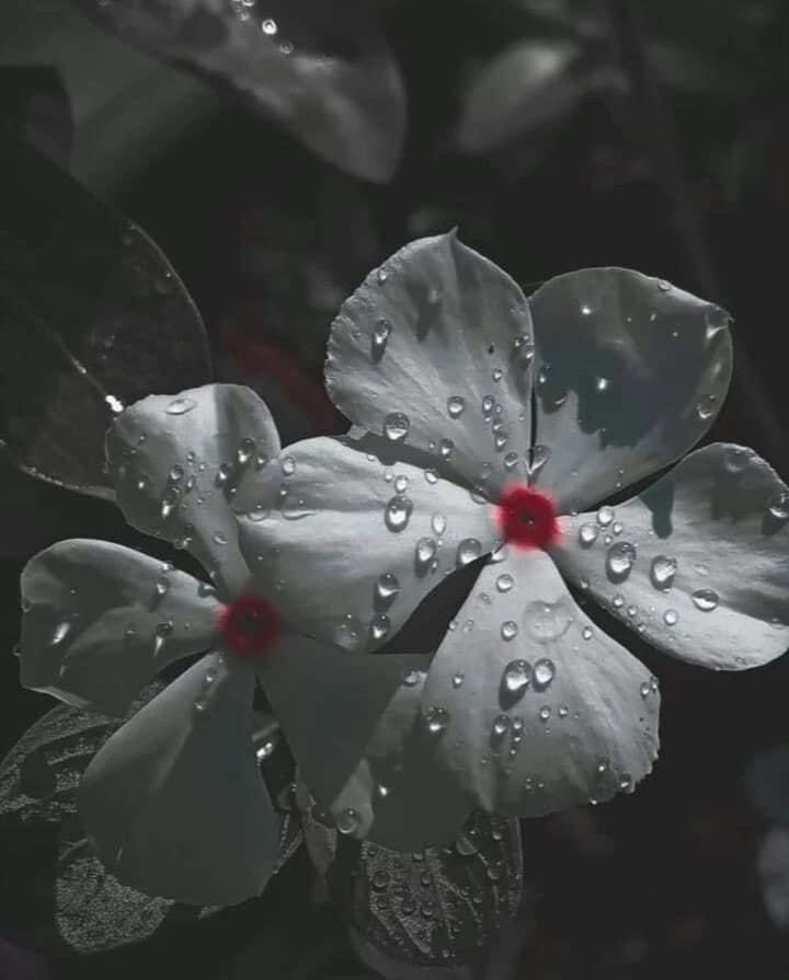 ����� �������_0ykMo