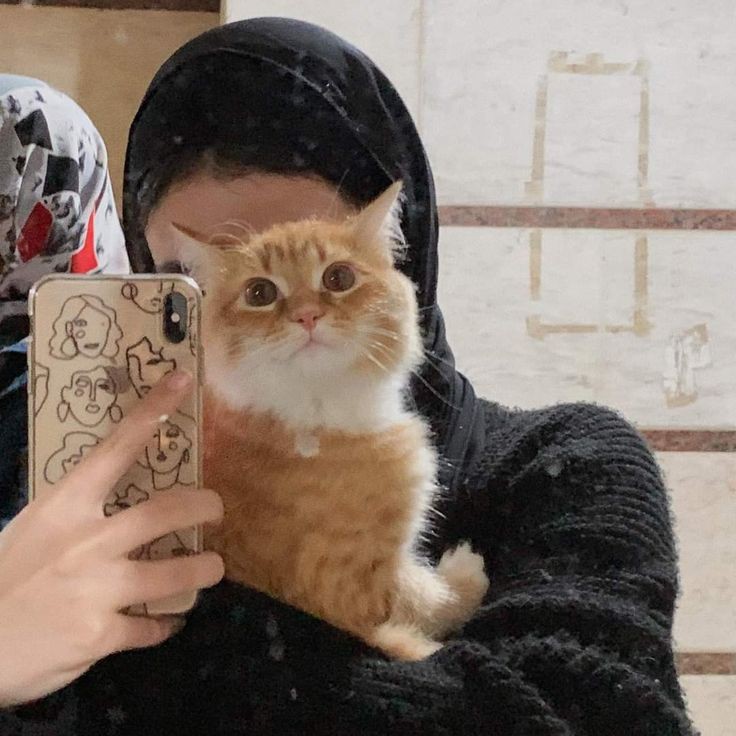 ������ ����_sMVsD