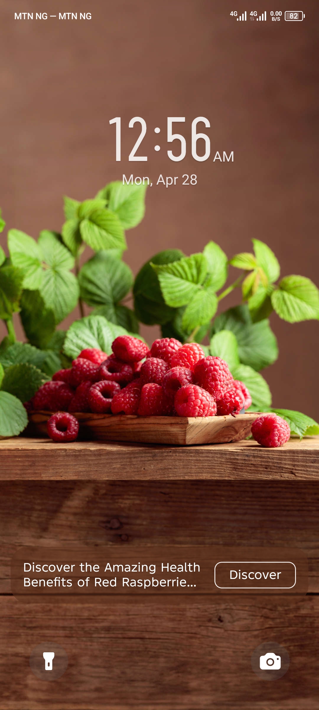 Vivian William_lVBK2