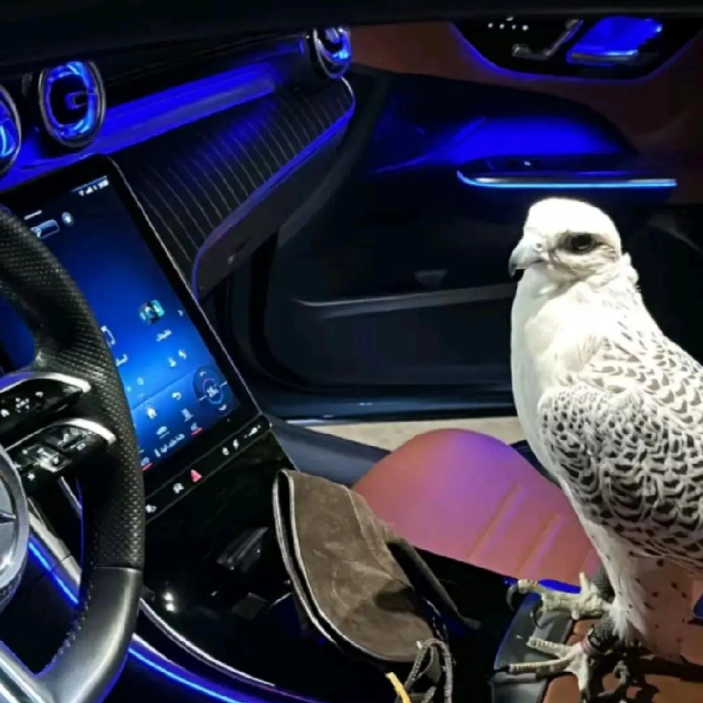 ����� ������_eL0tM