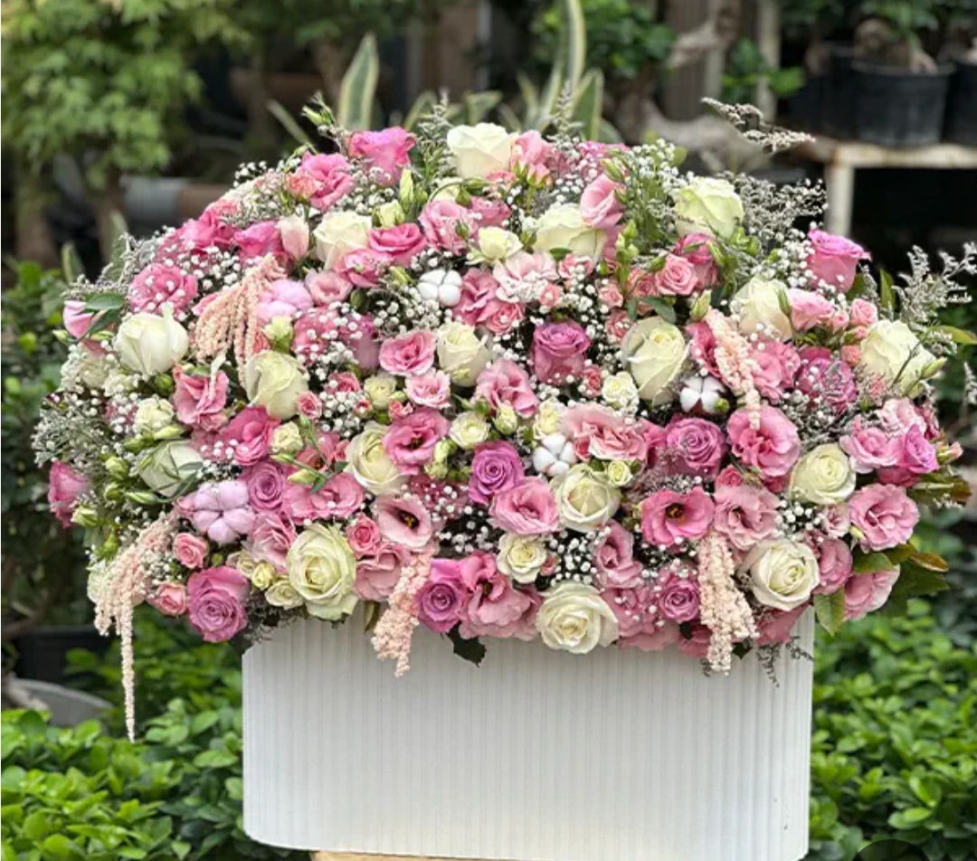 Shadrok Shadrok_XxAfk